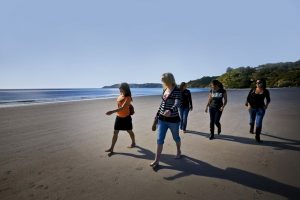 New Zealand Coach Tour Guide