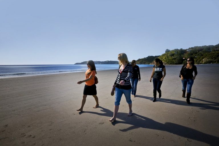 New Zealand Coach Tour Guide