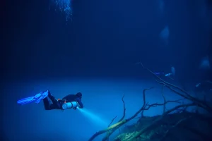The Best Scuba Diving Sites for Night Diving